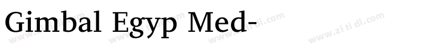 Gimbal Egyp Med字体转换